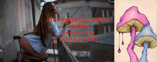 соль ск Алексеевка