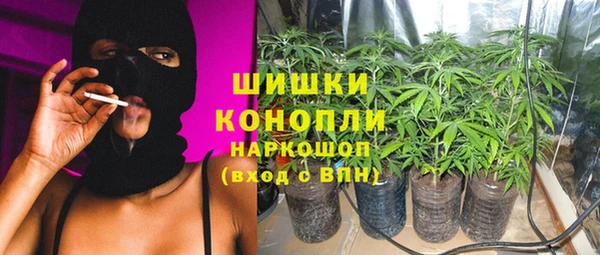 соль ск Алексеевка