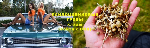 MESCALINE Алзамай