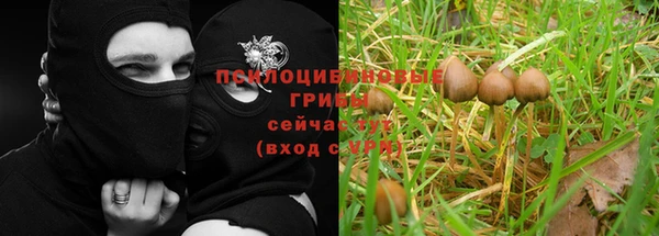 мескалин Осинники